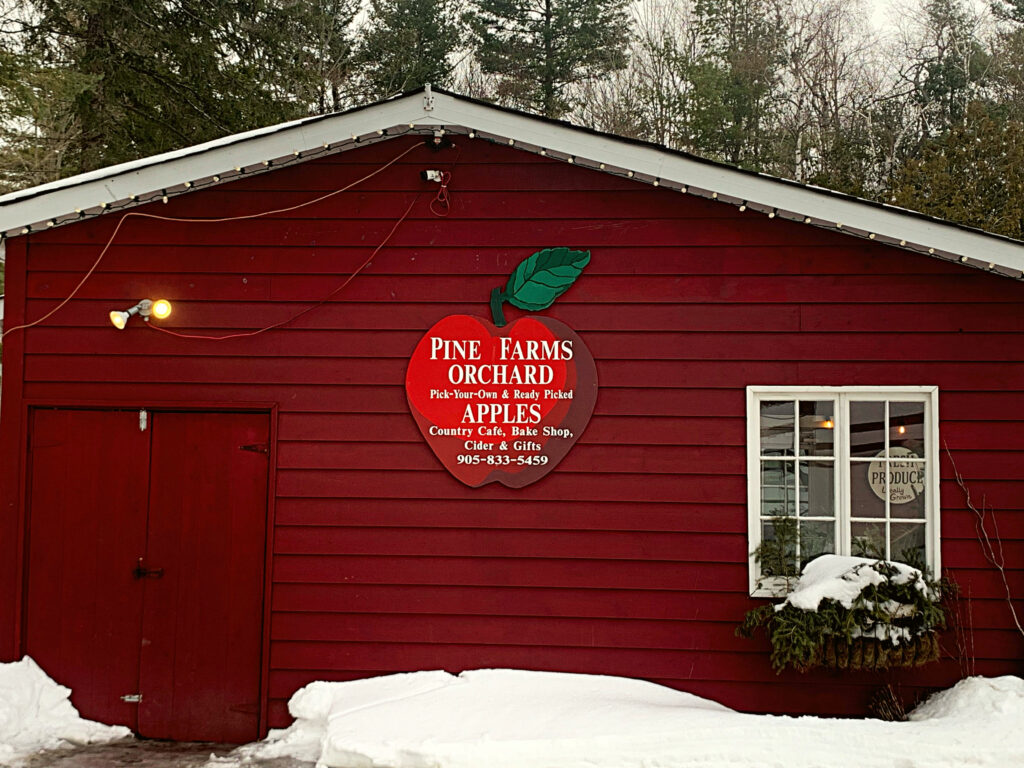 Side of red barn pictured with big apple shaped sign reading "Pine Farms Orchard"